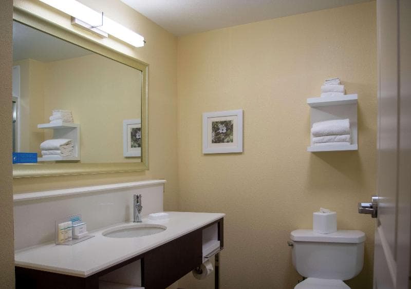 Hampton Inn St. Louis/Chesterfield 5