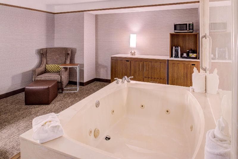 Hilton Garden Inn Detroit-Southfield 3
