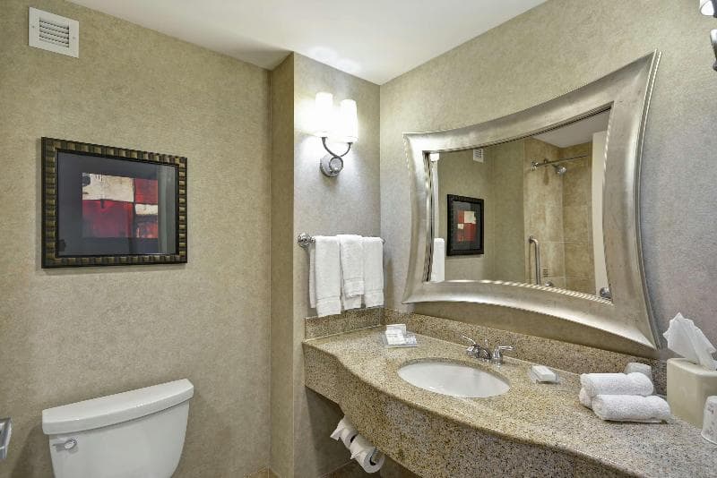 Hilton Garden Inn Toledo Perrysburg 3