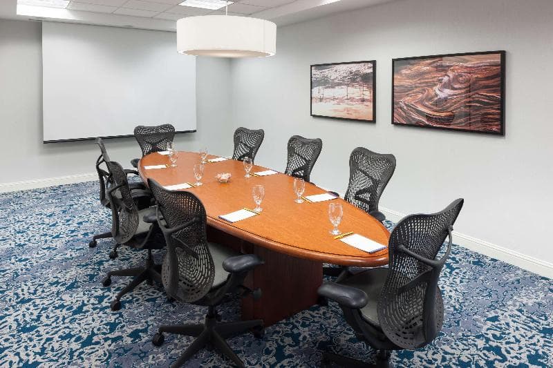 Hilton Garden Inn Frisco 3