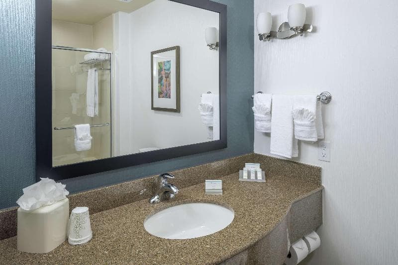 Hilton Garden Inn DFW North Grapevine 2