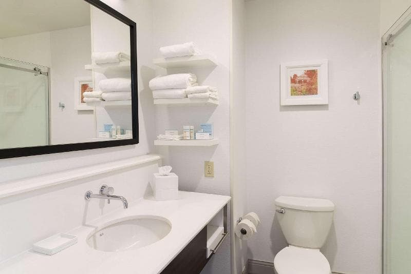 Hampton Inn Mt. Pleasant 3