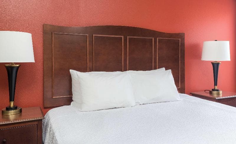 Hampton Inn Lubbock 4