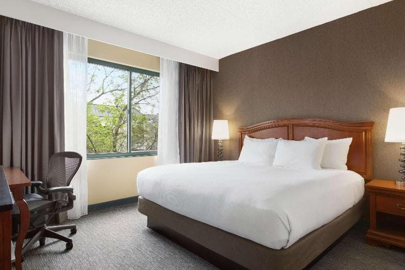 DoubleTree by Hilton Detroit Novi 2