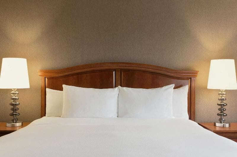 DoubleTree by Hilton Detroit Novi 5