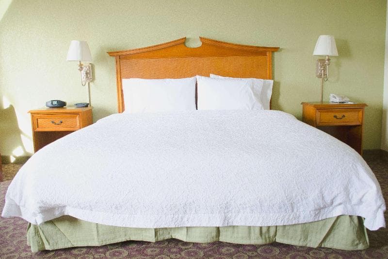 Hampton Inn & Suites College Station/US 6-East Bypass 2