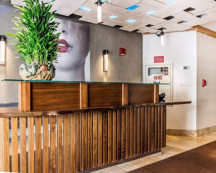 Solita Soho Hotel photo 1