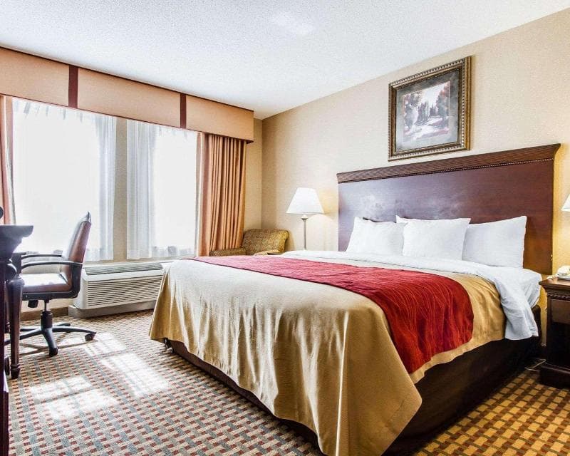 Comfort Inn & Suites Scarborough-Portland 4