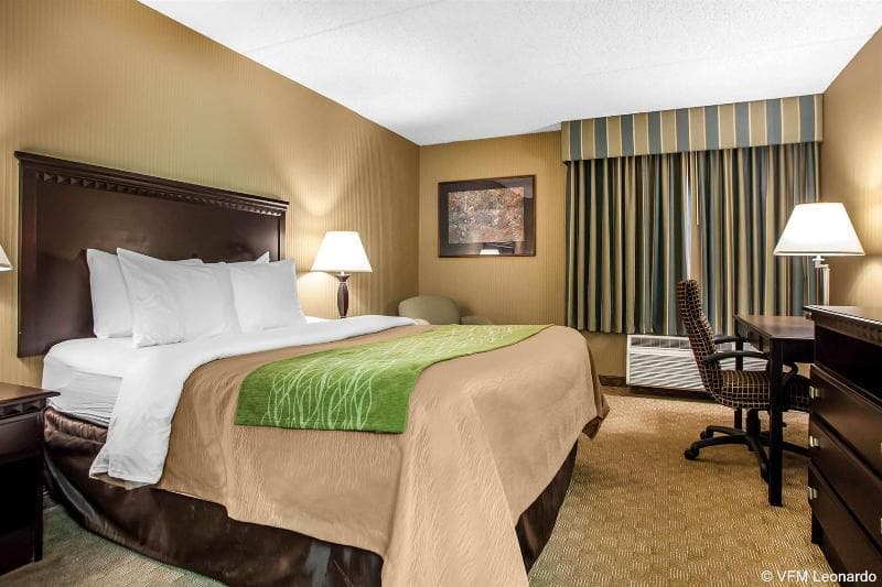 Comfort Inn 3