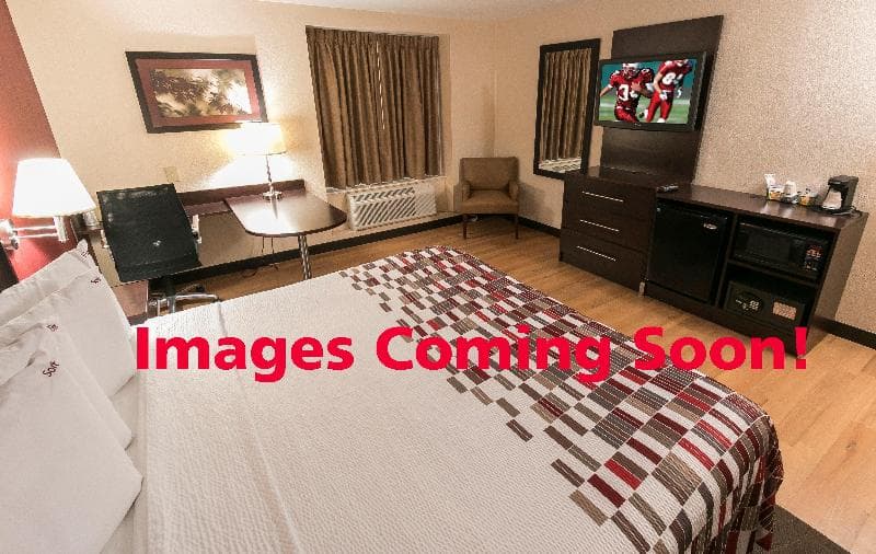 Red Roof Inn Sutton 5