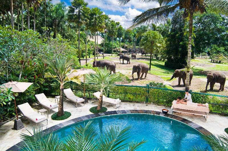 Mason Elephant Park & Lodge 3