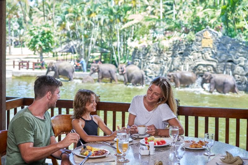 Mason Elephant Park & Lodge photo 1