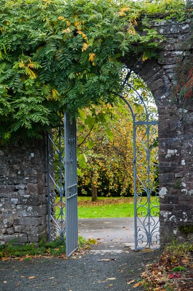 Llangoed Hall photo 1
