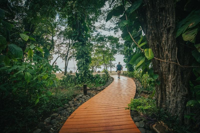 Bosque del mar 2