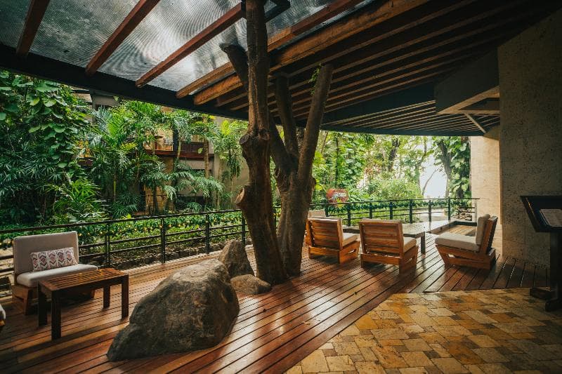 Bosque del mar 5