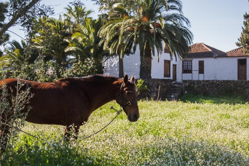 La Casona del Patio Hotel 4