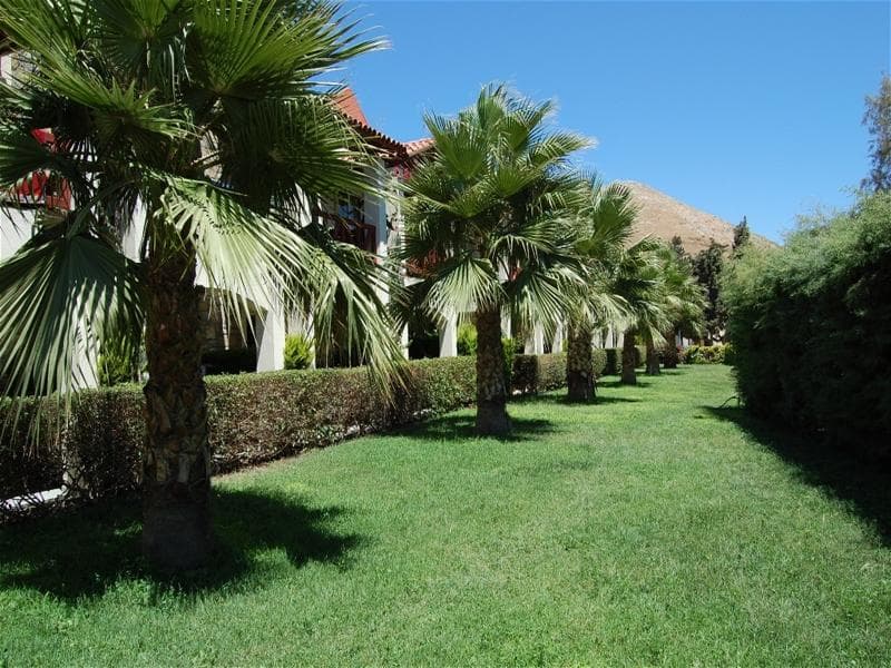 Tiana Beach Resort 3