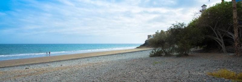 Side Shore 3