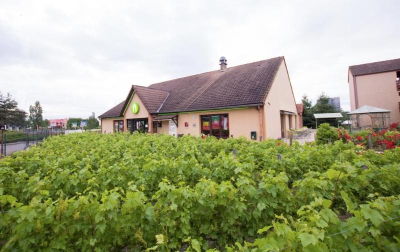 Kyarid Direct Roanne 5