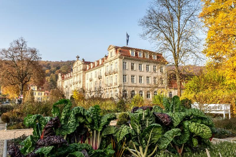 Dorint Resort & Spa Bad Brückenau 3