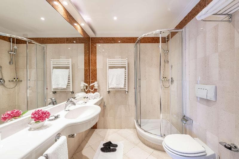 The Regency, Sure Hotel Collection by Best Western 5