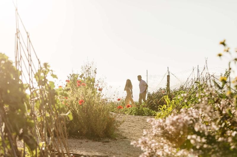 Carmel Valley Ranch In The Unbound Collection By photo 1