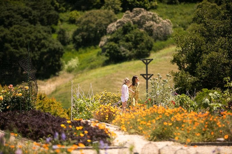 Carmel Valley Ranch In The Unbound Collection By 2