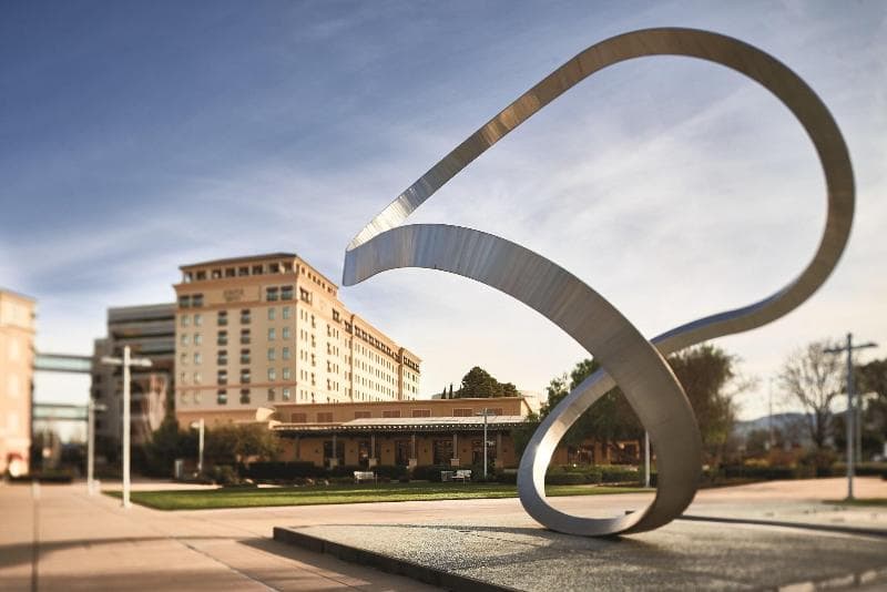 Juniper Hotel Cupertino, Curio Collection by Hilton 5