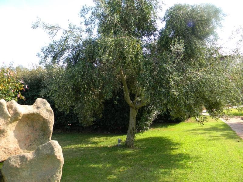 Relais Fenicottero Rosa 4