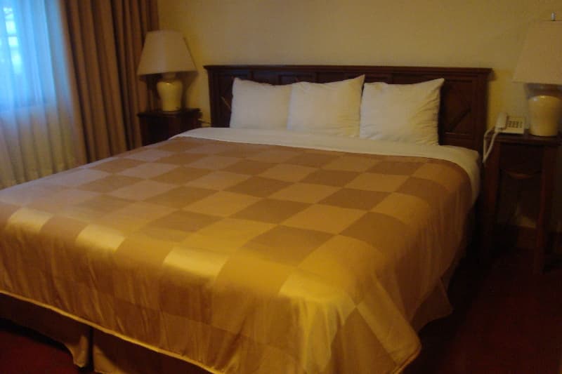 Hotel Del Patio 4
