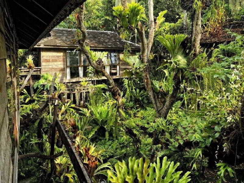Fern Paradise Hotel main