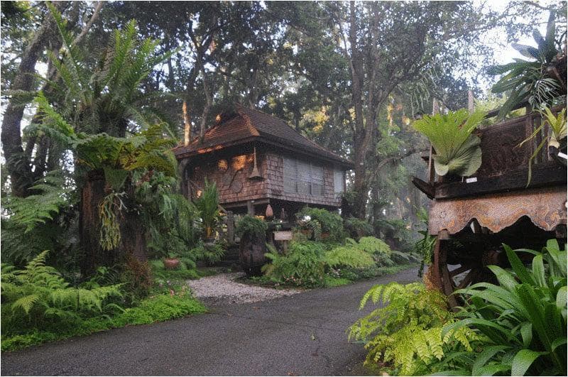 Fern Paradise Hotel 4