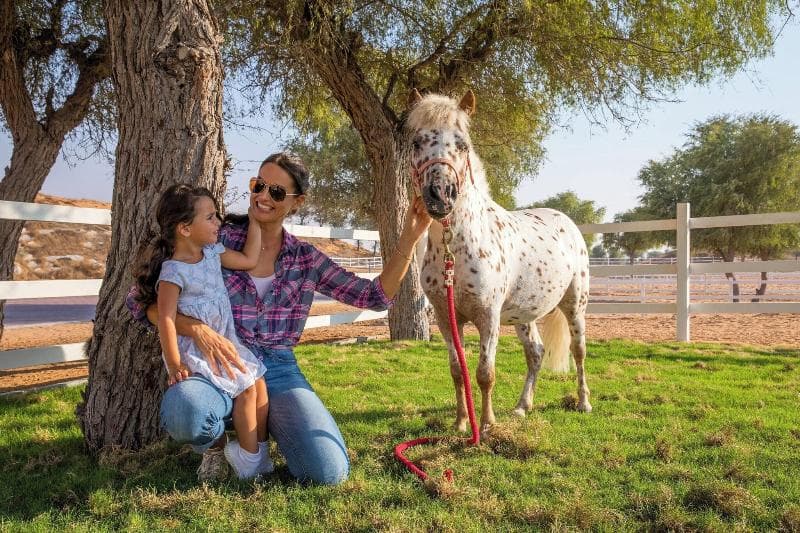 The Ritz-Carlton Ras Al Khaimah, Al Wadi Desert 3
