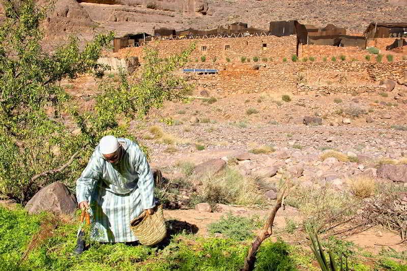 Ecolodge Oued Noujoum 5