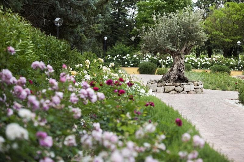 Garden Resort & Spa San Crispino 2