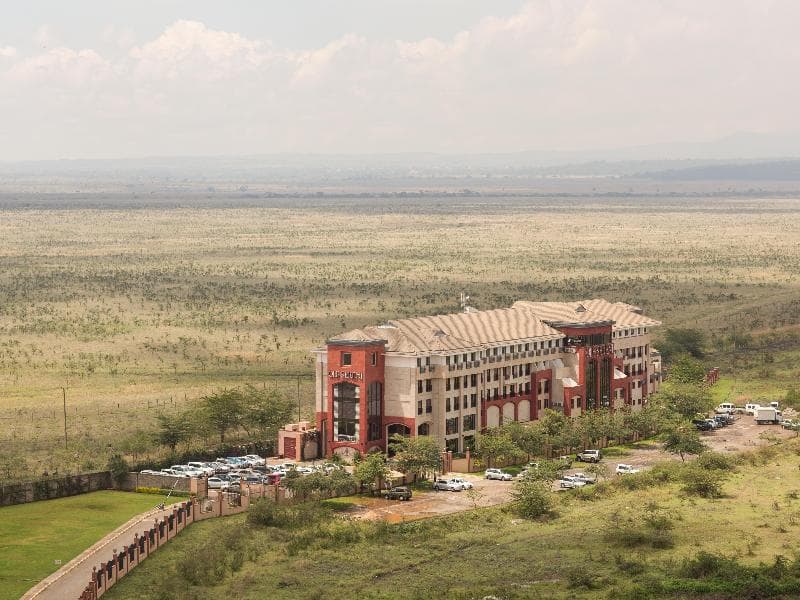 254 Ole Sereni photo 1