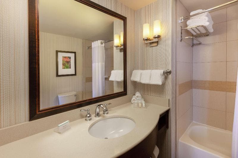 Hilton Garden Inn Pittsburgh University Place 4