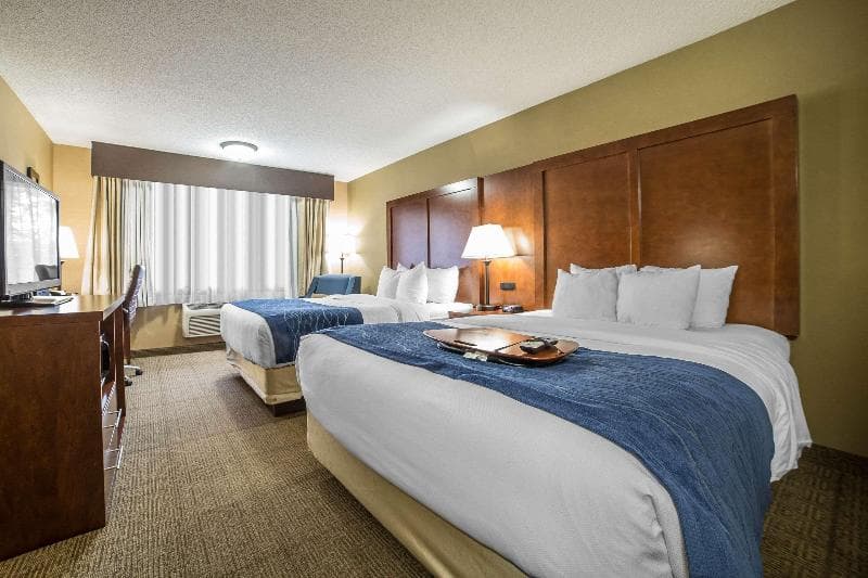 Comfort Inn Grand Junction 5