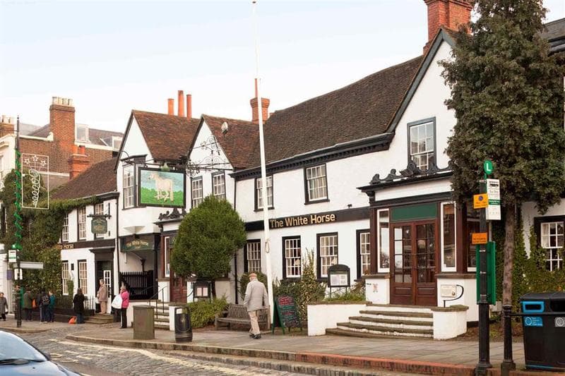 The White Horse photo 1