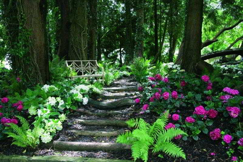 Summer Lodge Country House Hotel 2