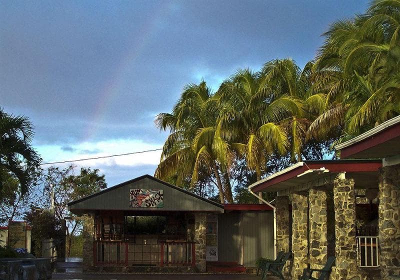 Lazy Parrot Inn 2