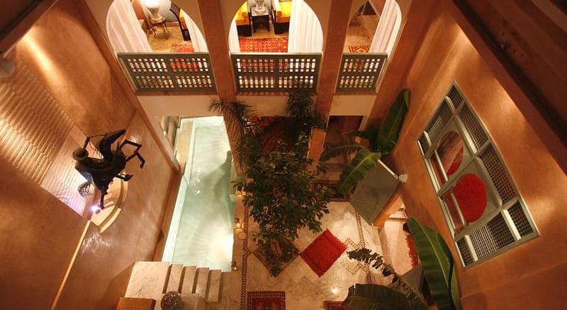 Riad Moullaoud photo 1