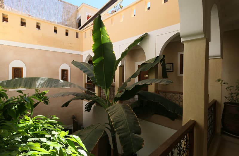 Riad Sidi Mimoune 2