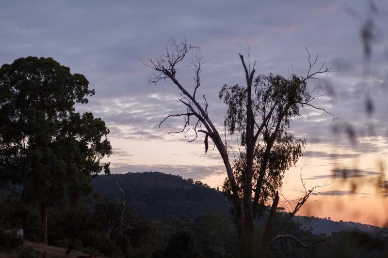 Yering Gorge Cottages photo 1