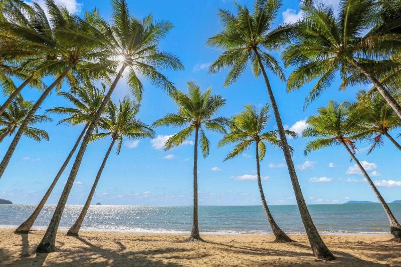 Alamanda Palm Cove by Lancemore 4