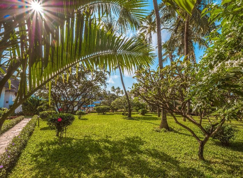 Nungwi Beach Resort by Turaco 3