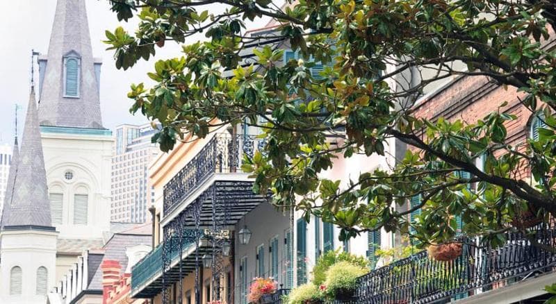 The Royal Sonesta New Orleans 5