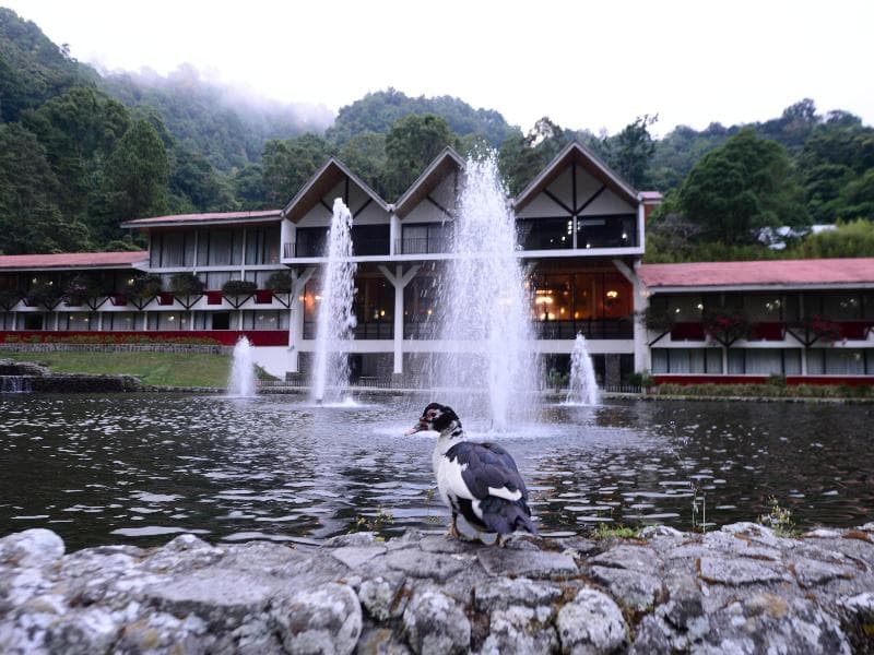 Hotel Bambito By Faranda Boutique 2
