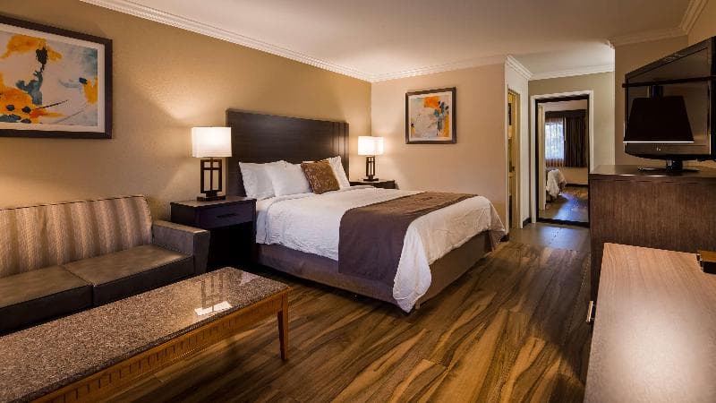 Best Western Plus Orange County Airport North 4