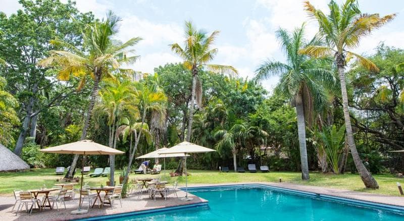 Sefapane Lodge & Safaris 3